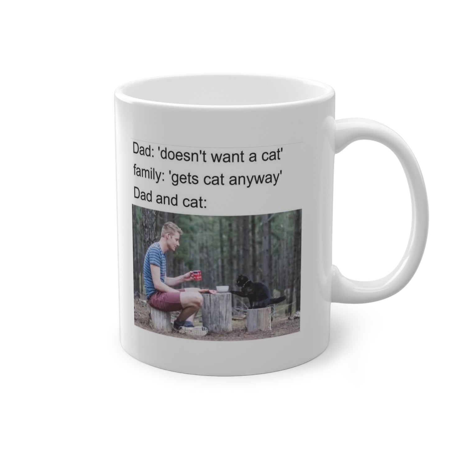 'Dad And Cat' Mug